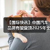 【国际快讯】中国汽车品牌有望登顶2025年全球销量榜;现代汽车暂无回购俄罗斯工厂计划(图4) 【国际快讯】中国汽车品牌有望登顶2025年全球销量榜;现代汽车暂无回购俄罗斯工厂计划(图4)