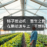 转子发动机：重生之我在新能源车上“干增程”（图2）