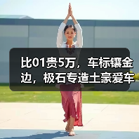 比01贵5万，车标镶金边，极石专造土豪爱车？（图4）
