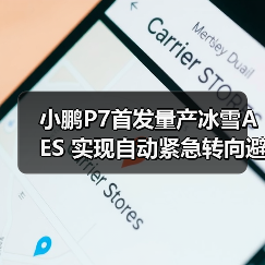 小鹏P7首发量产冰雪AES 实现自动紧急转向避让(图2) 小鹏P7首发量产冰雪AES 实现自动紧急转向避让(图2)