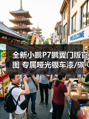 全新小鹏P7鹏翼门版官图 专属哑光银车漆/碳纤维（图4）
