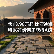 售13.98万起 比亚迪海狮06连续两周获得A级SUV销(图4) 售13.98万起 比亚迪海狮06连续两周获得A级SUV销(图4)