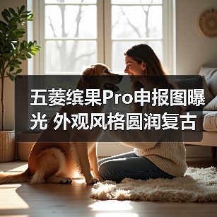五菱缤果Pro申报图曝光 外观风格圆润复古