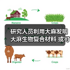 研究人员利用大麻发明大麻生物复合材料 或可用于汽车零部件及食品包装（图2）