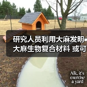 研究人员利用大麻发明大麻生物复合材料 或可用于汽车零部件及食品包装