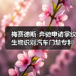 梅赛德斯-奔驰申请掌纹生物识别汽车门禁专利（图3）