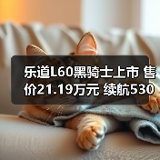 乐道L60黑骑士上市 售价21.19万元 续航530公里(图3) 乐道L60黑骑士上市 售价21.19万元 续航530公里(图3)