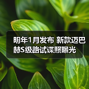 明年1月发布 新款迈巴赫S级路试谍照曝光（图3）