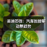英迪芯微：汽车智能驱动新趋势（图4）