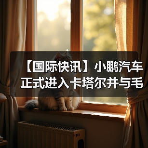 【国际快讯】小鹏汽车正式进入卡塔尔并与毛里求斯经销商签约；LG新能源取消与科德宝电池订单；特斯拉FSD行驶里程超70亿英里（图2）