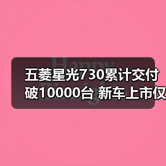 五菱星光730累计交付破10000台 新车上市仅12天（图3）
