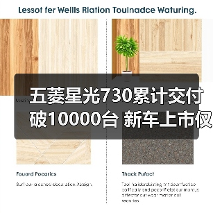 五菱星光730累计交付破10000台 新车上市仅12天（图4）