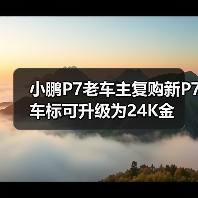 小鹏P7老车主复购新P7 车标可升级为24K金（图3）