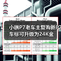 小鹏P7老车主复购新P7 车标可升级为24K金（图2）