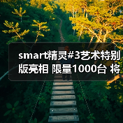 smart精灵#3艺术特别版亮相 限量1000台 将明年1(图4) smart精灵#3艺术特别版亮相 限量1000台 将明年1(图4)