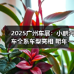 2025广州车展：小鹏汽车全系车型亮相 明年一季（图4）