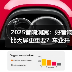 2025音响洞察：好音响比大屏更重要？车企开始“听”用户的