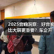 2025音响洞察：好音响比大屏更重要？车企开始“听”用户的（图4）