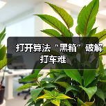 打开算法“黑箱”破解打车难（图4）