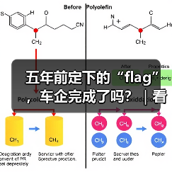 五年前定下的“flag”，车企完成了吗？｜看见2025（图3）