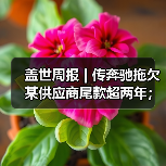 盖世周报 | 传奔驰拖欠某供应商尾款超两年；哈曼收购采埃孚ADAS业务（图2）