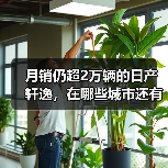 月销仍超2万辆的日产轩逸，在哪些城市还有超高人气？（图2）