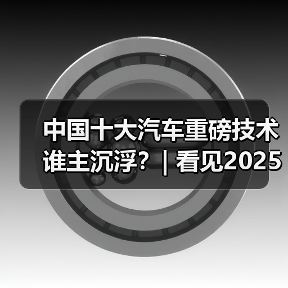 中国十大汽车重磅技术谁主沉浮?| 看见2025(图3) 中国十大汽车重磅技术谁主沉浮?| 看见2025(图3)