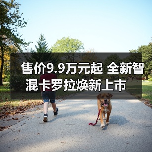 售价9.9万元起 全新智混卡罗拉焕新上市(图3) 售价9.9万元起 全新智混卡罗拉焕新上市(图3)