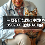 一图看懂各国对中国HS 8507.60电池PACK的进口关税（图3）