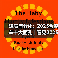 破局与分化：2025合资车十大面孔 | 看见2025（图3）