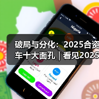 破局与分化：2025合资车十大面孔 | 看见2025（图2）