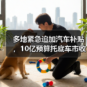 多地紧急追加汽车补贴,10亿预算托底车市收官战(图4) 多地紧急追加汽车补贴,10亿预算托底车市收官战(图4)