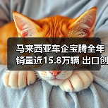 马来西亚车企宝腾全年销量近15.8万辆 出口创13年新高(图3) 马来西亚车企宝腾全年销量近15.8万辆 出口创13年新高(图3)