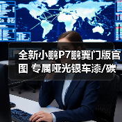 全新小鹏P7鹏翼门版官图 专属哑光银车漆/碳纤维(图3) 全新小鹏P7鹏翼门版官图 专属哑光银车漆/碳纤维(图3)