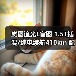 岚图追光L官图 1.5T插混/纯电续航410km 配华为(图3) 岚图追光L官图 1.5T插混/纯电续航410km 配华为(图3)