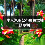小米汽车公布疲劳驾驶干预专利