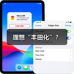理想“丰田化”？（图3）