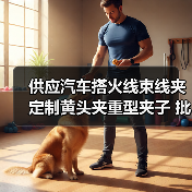 供应汽车搭火线束线夹 定制黄头夹重型夹子 批发汽车电瓶夹(图4) 供应汽车搭火线束线夹 定制黄头夹重型夹子 批发汽车电瓶夹(图4)