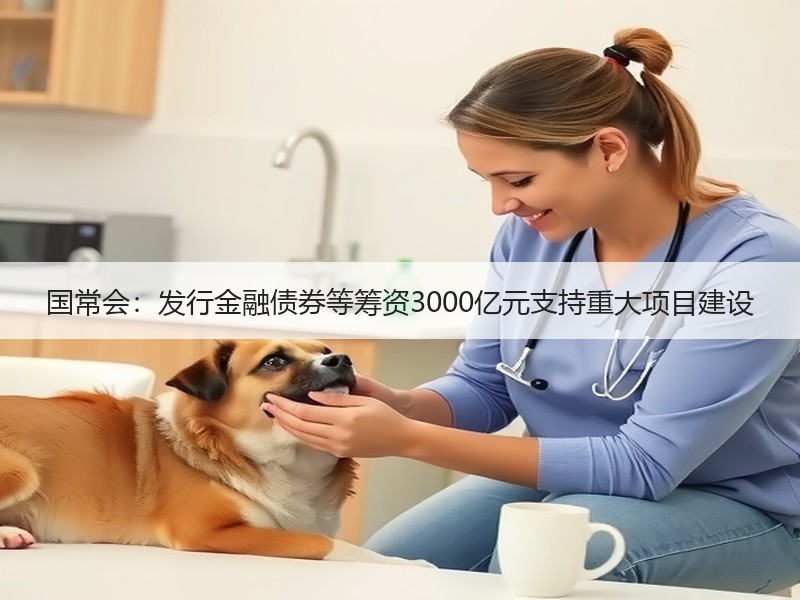 国常会：发行金融债券等筹资3000亿元支持重大项目建设