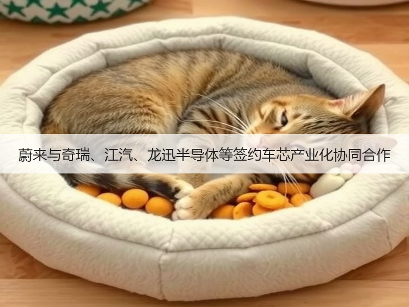 蔚来与奇瑞、江汽、龙迅半导体等签约车芯产业化协同合作