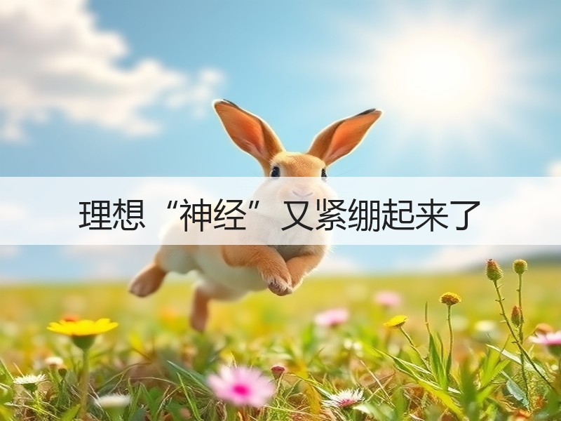 理想“神经”又紧绷起来了