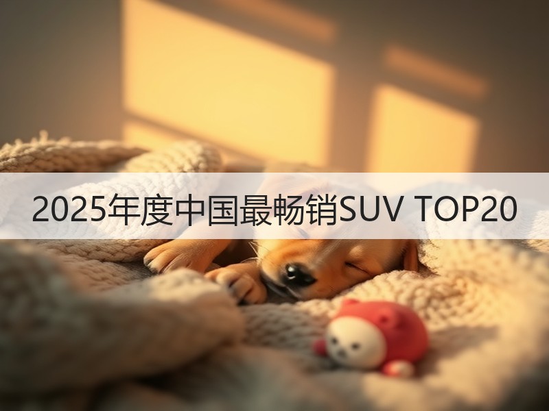2025年度中国最畅销SUV TOP20