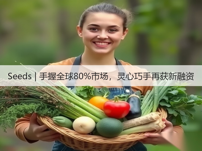 Seeds | 手握全球80%市场，灵心巧手再获新融资