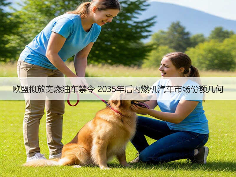 欧盟拟放宽燃油车禁令 2035年后内燃机汽车市场份额几何
