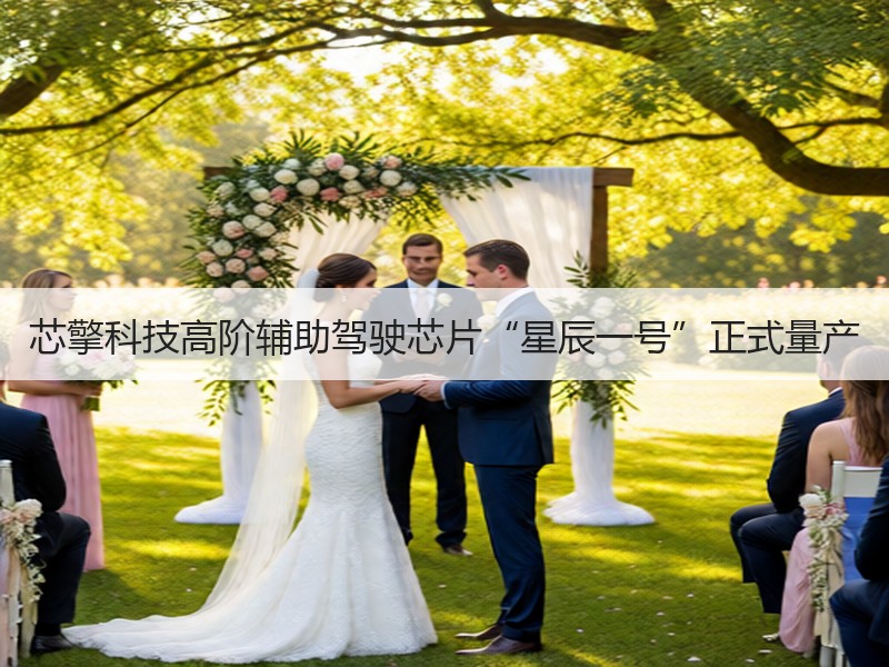 芯擎科技高阶辅助驾驶芯片“星辰一号”正式量产