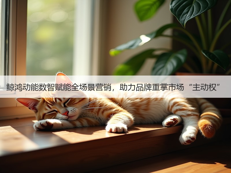 鲸鸿动能数智赋能全场景营销，助力品牌重掌市场“主动权”