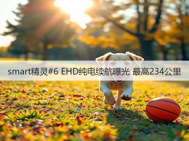 smart精灵#6 EHD纯电续航曝光 最高234公里