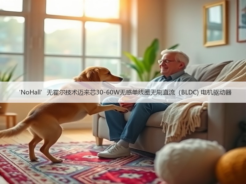 ‘NoHall’无霍尔技术迈来芯30-60W无感单线圈无刷直流（BLDC) 电机驱动器