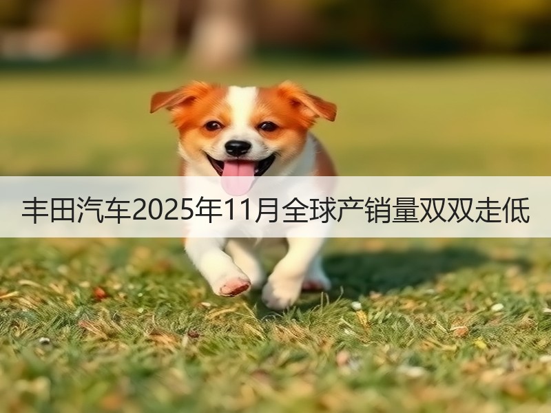丰田汽车2025年11月全球产销量双双走低
