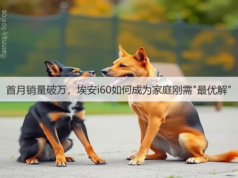 首月销量破万，埃安i60如何成为家庭刚需